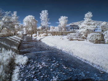 Snow covered footpath by trees against sky