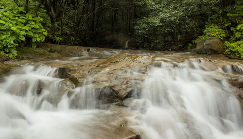 Scenic view of waterfall in forest