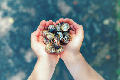 Close-up of hand holding snails outdoors