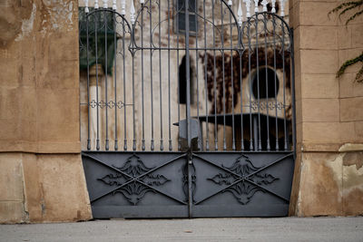 Closed door of building