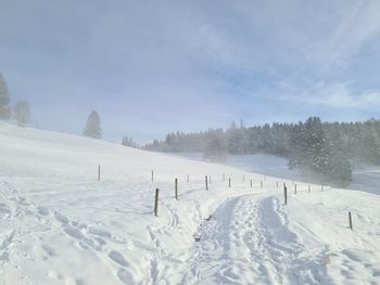 Snow covered field against sky