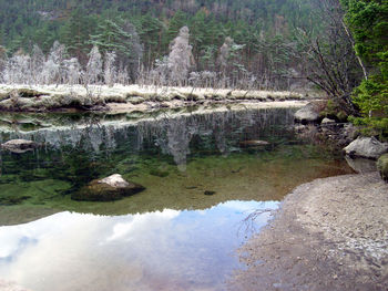 Reflection of trees in lake