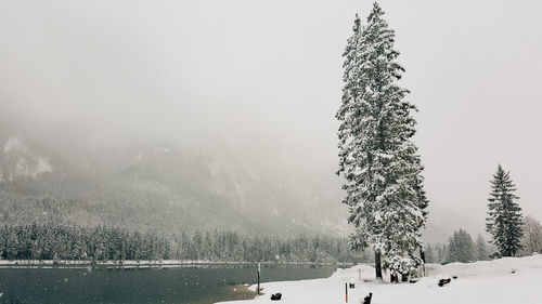 Winter, lake, snow, snowing, scenic view, beatuy in nature.