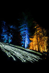 Illuminated road by trees against sky at night