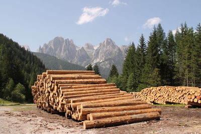 Stacked logs on field against mountains