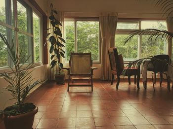 Chairs and potted plants on tiled floor at home