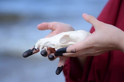 Midsection of woman holding animal skull