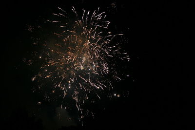 Low angle view of firework display at night