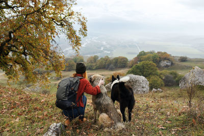 Rear view of men standing by tree on mountain