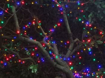 Low angle view of illuminated christmas tree at night