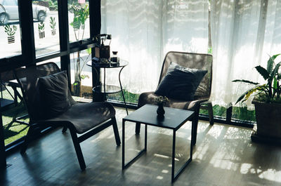 Potted plant on table at home