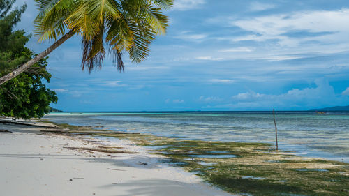 Scenic view of sea against sky