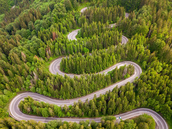 Aerial view of winding road in high mountain pass trough dense green pine woods.