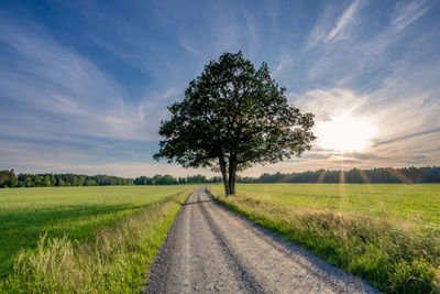 Road amidst field against sky