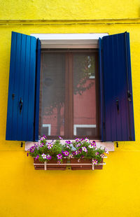 Close-up of flower pot on window sill