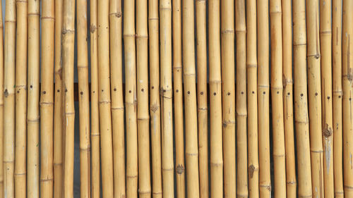 Full frame shot of bamboo