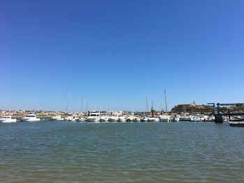 View of marina at harbor against clear blue sky