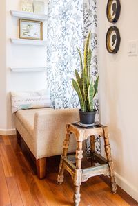 Potted plant on table at home