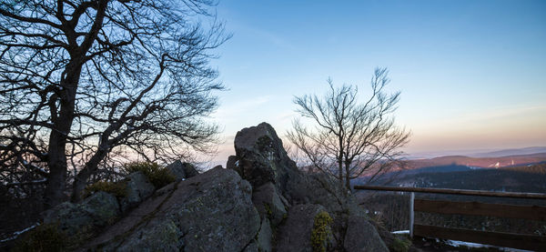 Bare trees on mountain against sky