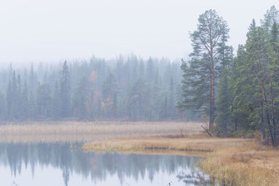 Reflection of trees in lake against sky in forest