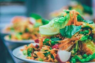 Close-up of vegetable salad in plate