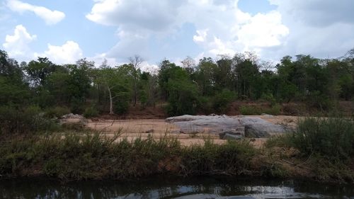 Scenic view of lake in forest against sky