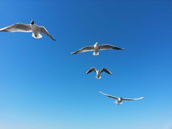 flying