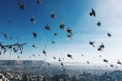 flying