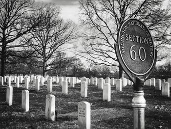 Row of cemetery against trees