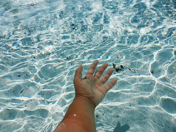 Low section of person swimming in pool