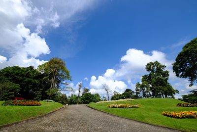 Road amidst trees against sky