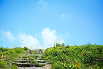 Scenic view of landscape against blue sky