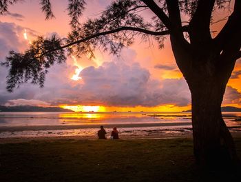 Silhouette trees on beach against sky during sunset