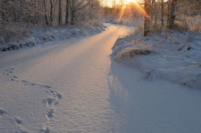 Winter sunrise snow bend of the river in a forest in the light of the sun's rays