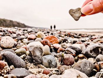 Close-up of seashells on pebbles at beach