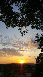 Low angle view of silhouette trees against sky during sunset