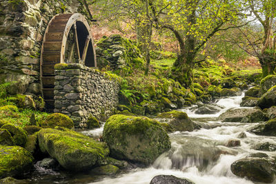 Old mill with a waterwheel built in the early 1800's in borrowdale in the lake district, uk