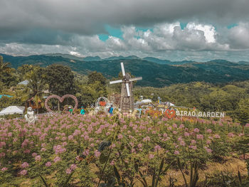 Scenic view of flowering plants by mountains against sky