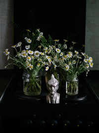 Close-up of potted plants in glass vase on table