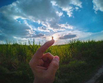 Close-up of hand holding plant against sky