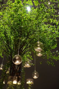 Illuminated lighting equipment on tree