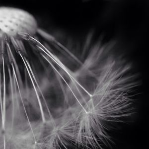 close-up