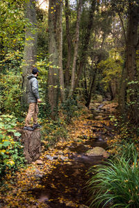 Side view of man standing by trees in forest