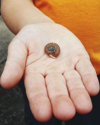 Close-up of hand holding crab