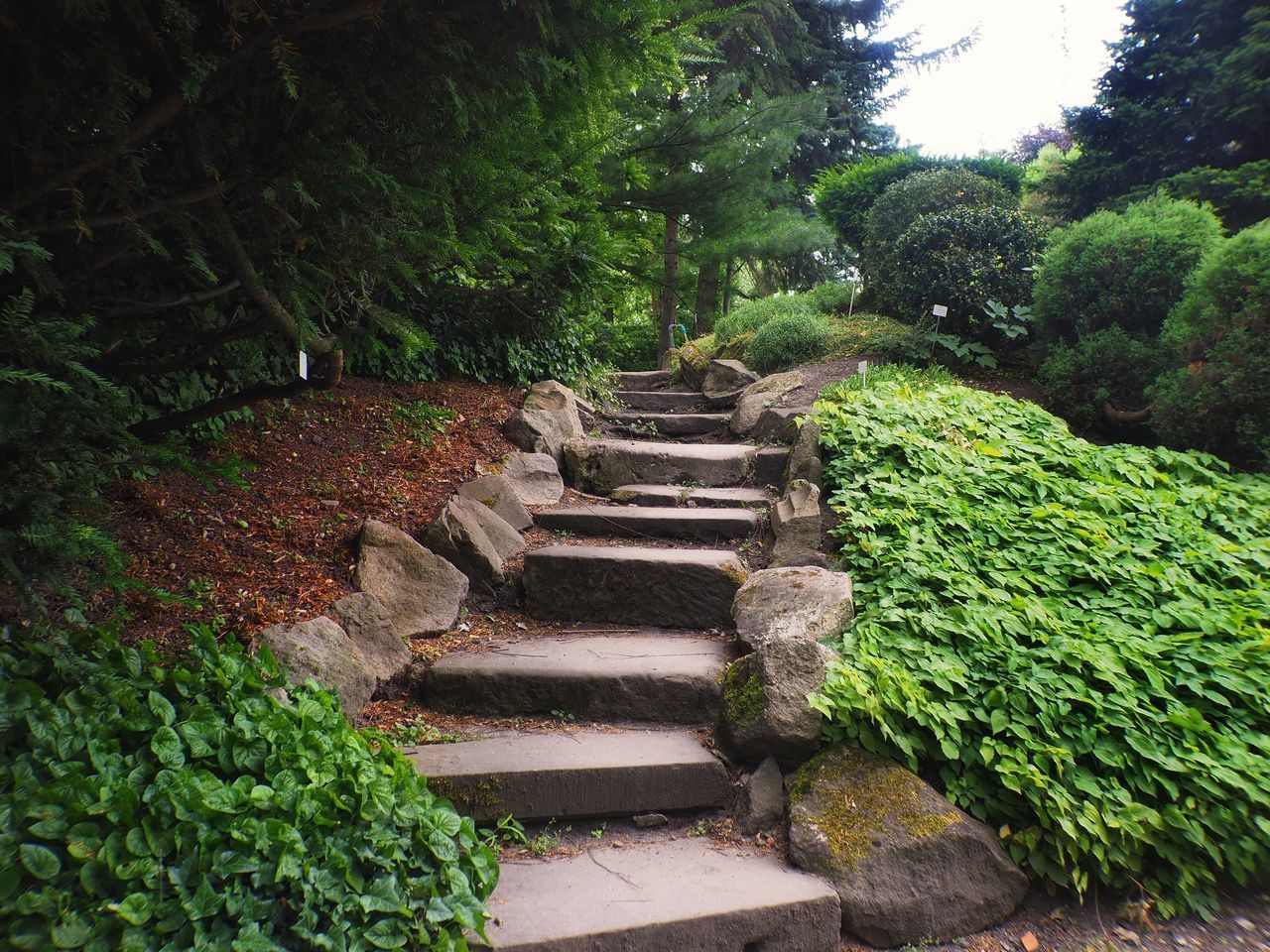 STEPS LEADING TO PARK