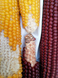 High angle view of vegetables