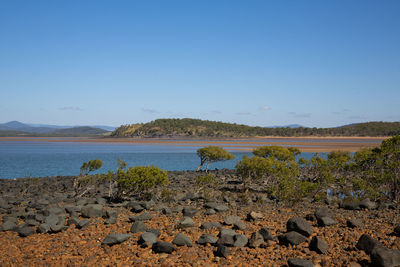 Scenic view of lake against clear sky