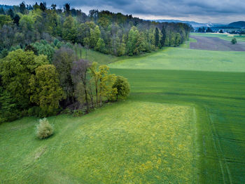 Scenic view of green landscape against sky