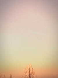 Low angle view of sky at sunset