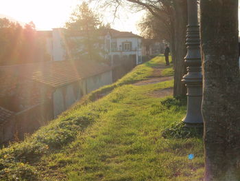 View of houses on sunny day